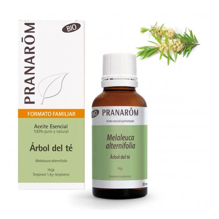 Aceite Esencial Aeqt Árbol Del Té Bio 30 Ml Aceite Esencial Aeqt Árbol Del Té Bio 30 Ml