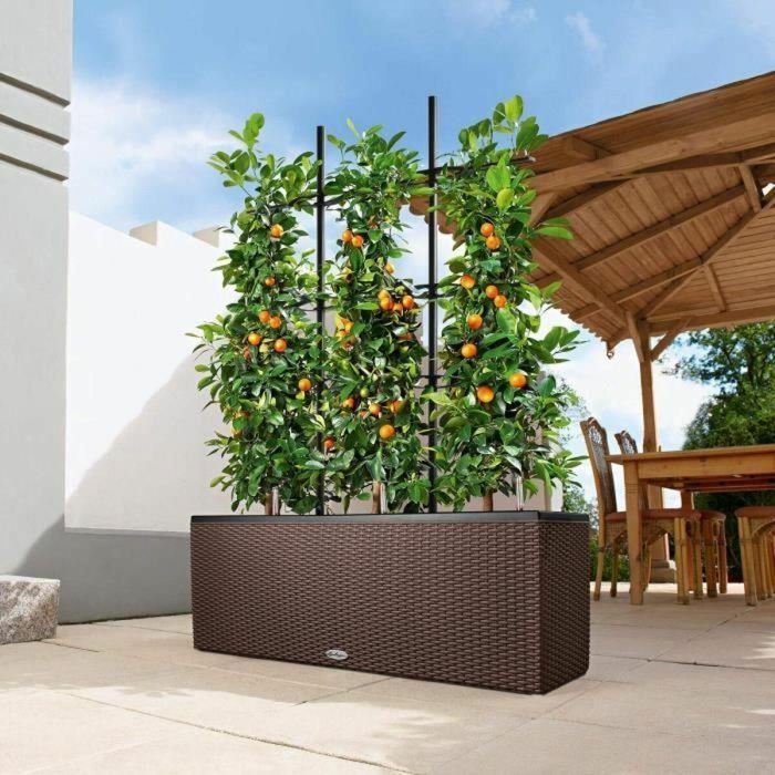 Lechuza LEC4008789150035 Maceta Trio Cottage 30 granito, con sistema de riego integrado y resistente a la intemperie. 2 Lechuza LEC4008789150035 Maceta Trio Cottage 30 granito, con sistema de riego integrado y resistente a la intemperie. 2