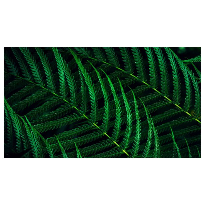 Philips 27B2G5500 Monitor de 27 Pulgadas Quad HD IPS 100Hz 4ms Antracita 2xHDMI DP USB 6