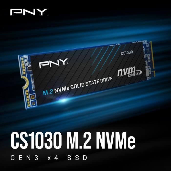 PNY M280CS1030-250-RB Unidad SSD Interna M.2 NVMe PCIe Gen3 CS1030 250 GB, 2500 MB/s Lectura, 1900 MB/s Escritura 4