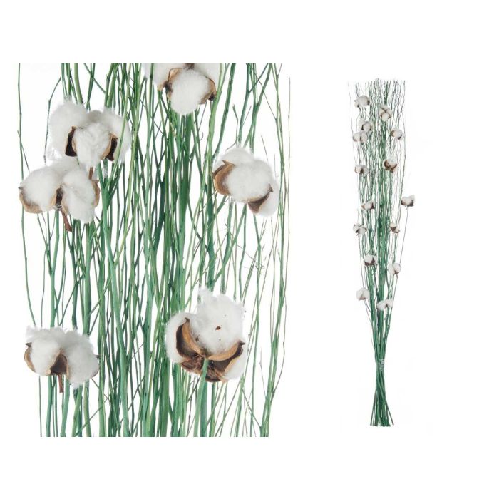 Ramillete de Algodón Verde Giftdecor - 12x100x10 cm, Materia Vegetal Seca (18 Unidades) 1 Ramillete de Algodón Verde Giftdecor - 12x100x10 cm, Materia Vegetal Seca (18 Unidades) 1
