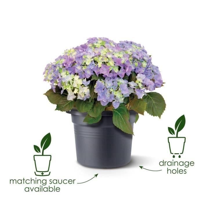 Jardinera Elho Green Basics Cilinder 55 - Negro - Ø 54 x H 41 cm - exterior - 100% reciclado 2 Jardinera Elho Green Basics Cilinder 55 - Negro - Ø 54 x H 41 cm - exterior - 100% reciclado 2