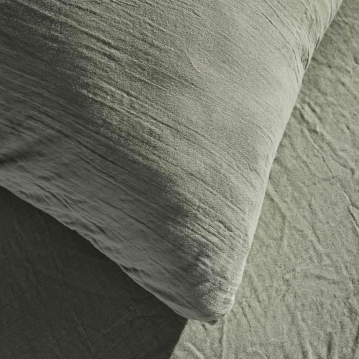 Today 123329 Juego de Cama Gasa de Algodón Lisa y Algodón Salvia 2 Personas 260x240cm 1 Today 123329 Juego de Cama Gasa de Algodón Lisa y Algodón Salvia 2 Personas 260x240cm 1