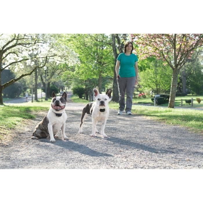 Petsafe LITE 300 m Sistema de Entrenamiento para Perros con Estimulación, Vibración y Sonido, Alcance 300m, 15 Niveles, Impermeable, Recargable 1