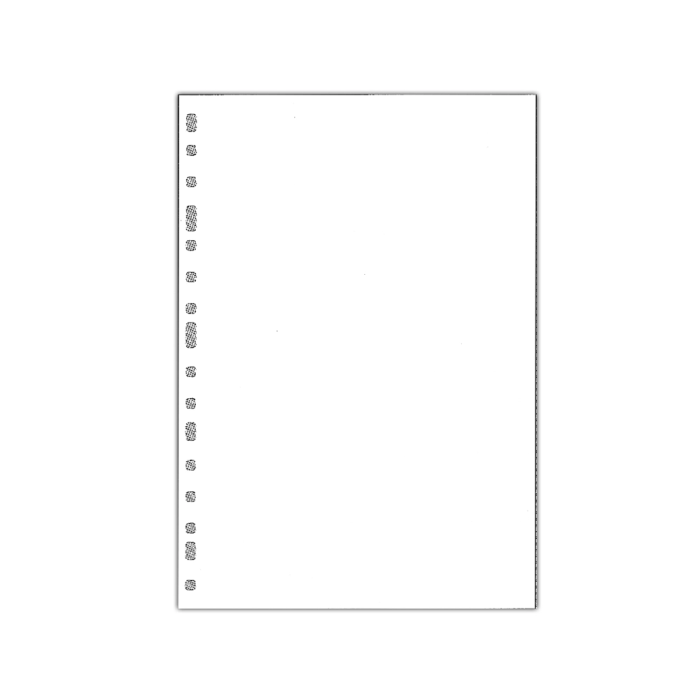 Recambio Multifin Fº 16 Anillas 3005 Lisos 1