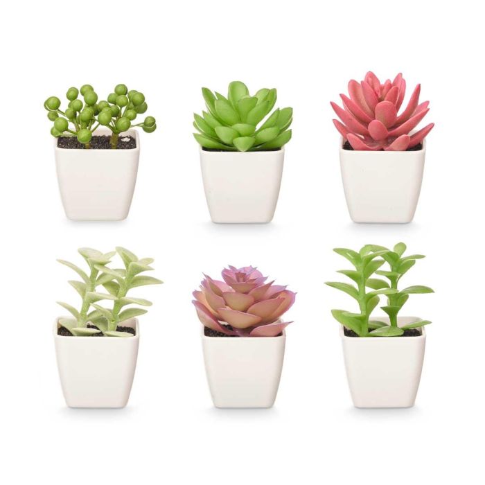 Maceta Cuadrada Surt Peq Ibergarden 5X10CM (48 Unidades) 2 Maceta Cuadrada Surt Peq Ibergarden 5X10CM (48 Unidades) 2