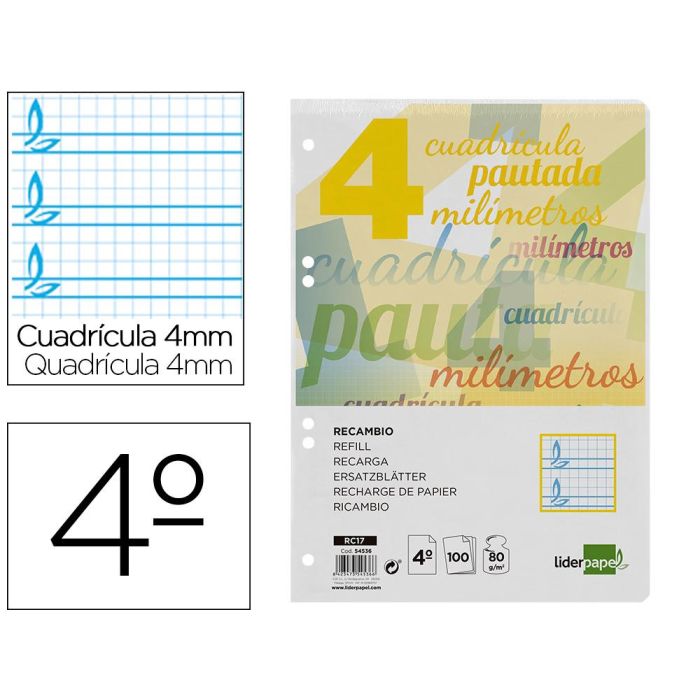 Recambio Liderpapel Cuarto Pautaguia 100 Hojas 75 gr Cuadriculado Pautado 4 mm Con Margen 6 Taladros