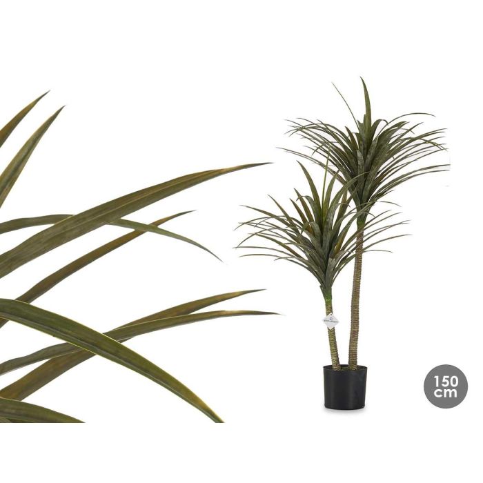 Planta con Maceta Hoja Estrecha Mediana Ibergarden 150 cm (Alto) x 105 cm (Largo) x 80 cm (Ancho)