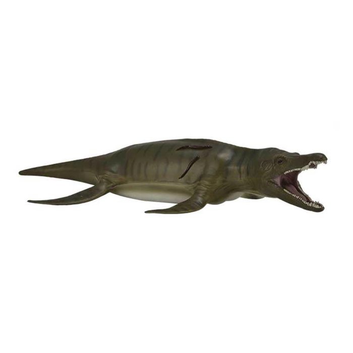 Pliosaurus - Deluxe 1:40 88699 Collecta Pliosaurus - Deluxe 1:40 88699 Collecta