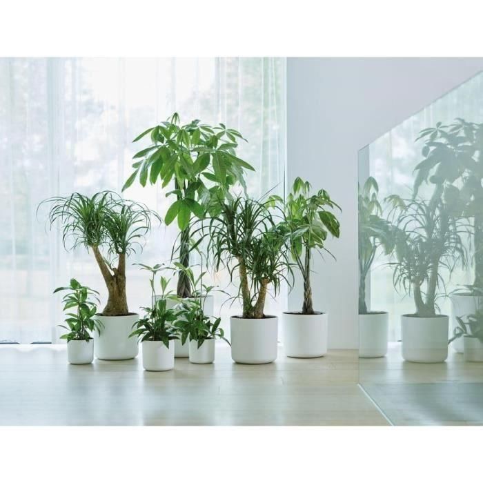 Elho ELH8711904249465 Maceta B.for Soft Round Blanco Ø 35 x H 32 cm interior 100% reciclada 4 Elho ELH8711904249465 Maceta B.for Soft Round Blanco Ø 35 x H 32 cm interior 100% reciclada 4