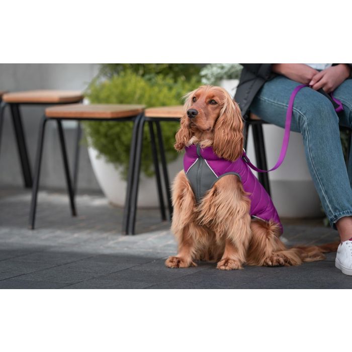 Red Dingo Rd Puffer Jacket Abrigo Reversible para Perro Morado-Rosa 35 cm 5