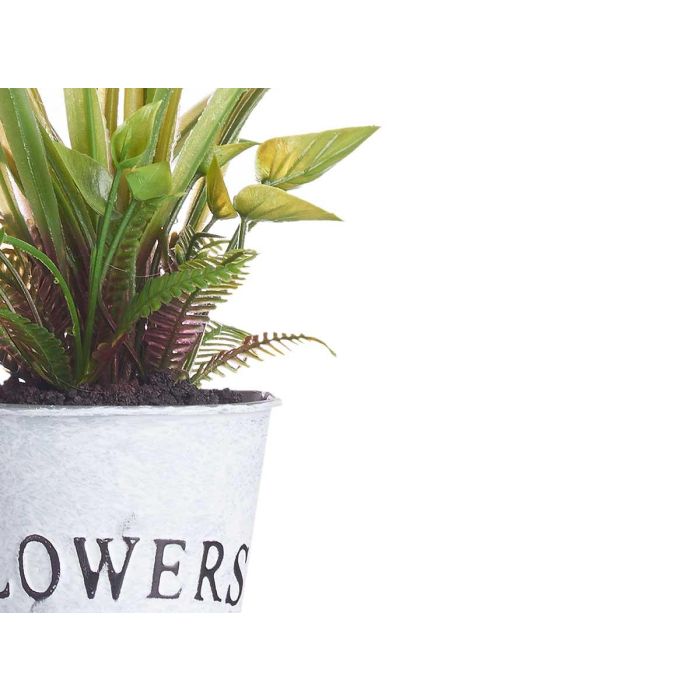 Planta Flor Abierta Peq Bote Metal Surtidos Ibergarden 15X36CM (12 Unidades) 3 Planta Flor Abierta Peq Bote Metal Surtidos Ibergarden 15X36CM (12 Unidades) 3