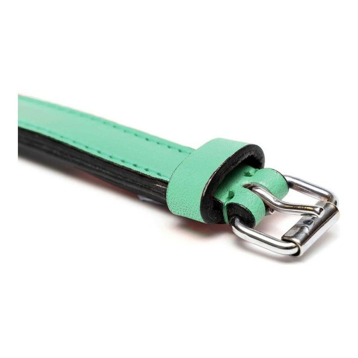 Collar Piel Acolchado 30 cm X 15 mm Verde 5 Collar Piel Acolchado 30 cm X 15 mm Verde 5