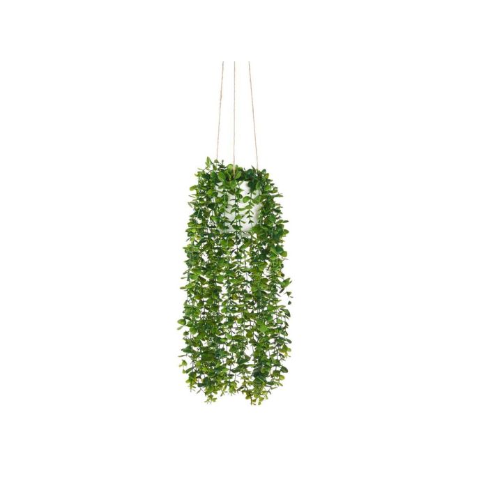 Maceta Plastico Regadera Colgar Verde Con Soga Ibergarden 24X55CM (6 Unidades) 1 Maceta Plastico Regadera Colgar Verde Con Soga Ibergarden 24X55CM (6 Unidades) 1