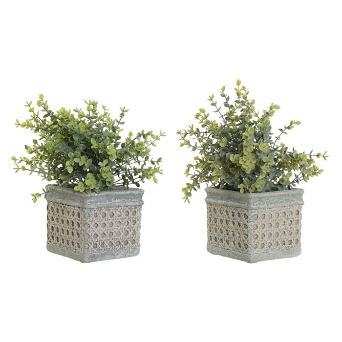 DKD Home Decor Planta Artificial Decorativa Verde Musgo de Resina y PE para Interiores y Decoración - Pack 12 Unidades - 19x19x27 cm DKD Home Decor Planta Artificial Decorativa Verde Musgo de Resina y PE para Interiores y Decoración - Pack 12 Unidades - 19x19x27 cm