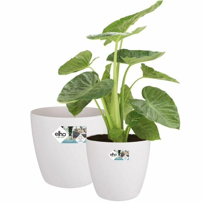 Elho 5643504015041 Juego 2 Maceteros Redondos Bruselas con Ruedas Ø35xH33cm y Ø39xH36.5cm, 55L, Blanco 7 Elho 5643504015041 Juego 2 Maceteros Redondos Bruselas con Ruedas Ø35xH33cm y Ø39xH36.5cm, 55L, Blanco 7
