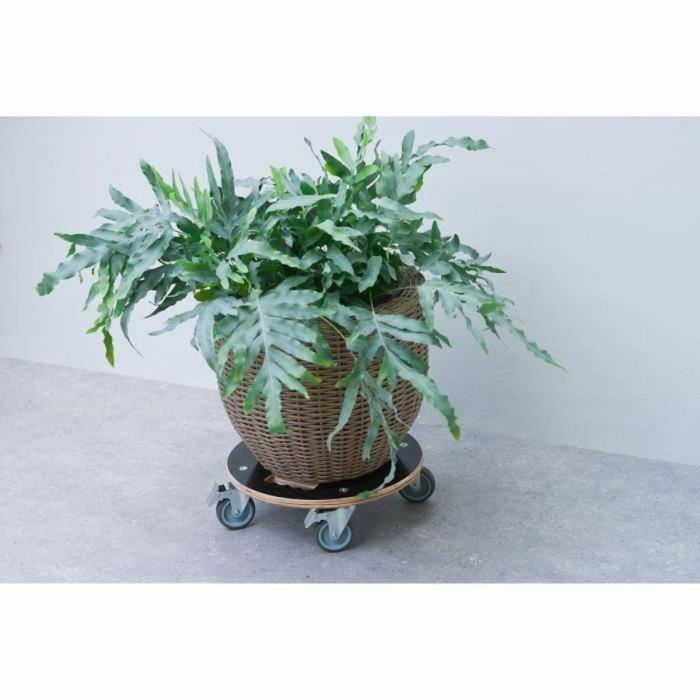 Soporte con Ruedas para Macetas Nature Madera Ø 38 cm 1 Soporte con Ruedas para Macetas Nature Madera Ø 38 cm 1