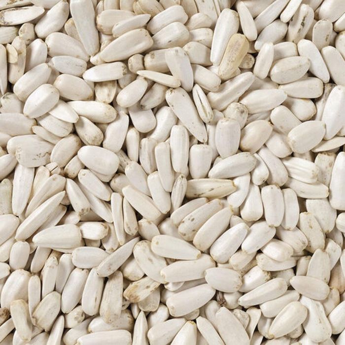 Comida para pájaros Deli Nature 2 Kg Pipas de Girasol 1