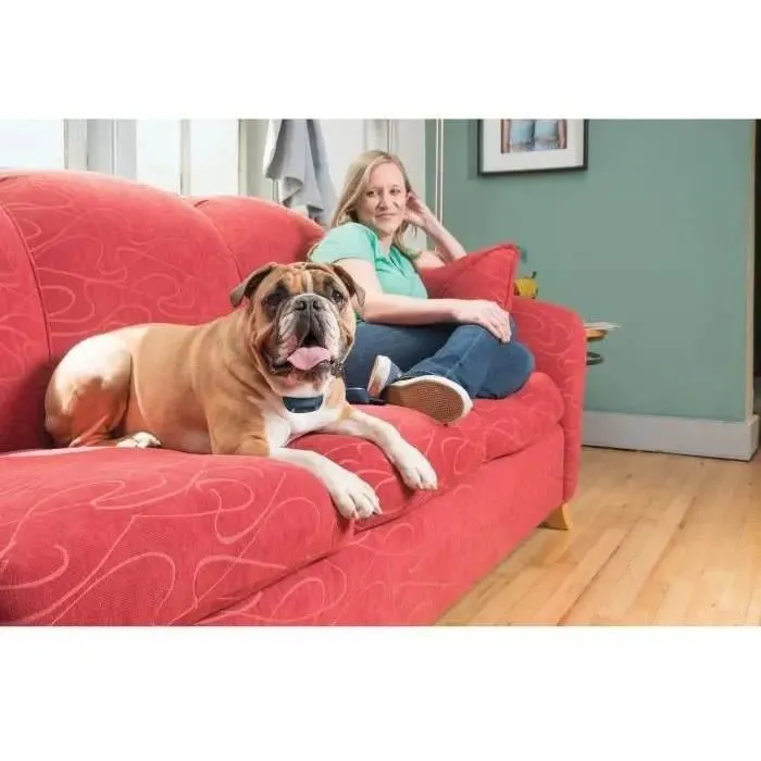 Petsafe Sistema de Apoyo Educativo 600m para Perros | Estimulación Electrostática, Vibración y Sonido, 15 Niveles, Impermeable, Recargable USB, Mando Digital 2