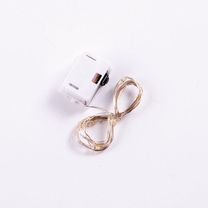 Guirnalda LED Interior 1M [HO-XMAS-033-IP20-1M-RGB] 3