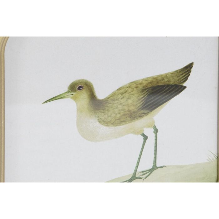 Cuadro Cottage DKD Home Decor Beige Verde 2 x 30 x 30 cm (6 Unidades) 2 Cuadro Cottage DKD Home Decor Beige Verde 2 x 30 x 30 cm (6 Unidades) 2