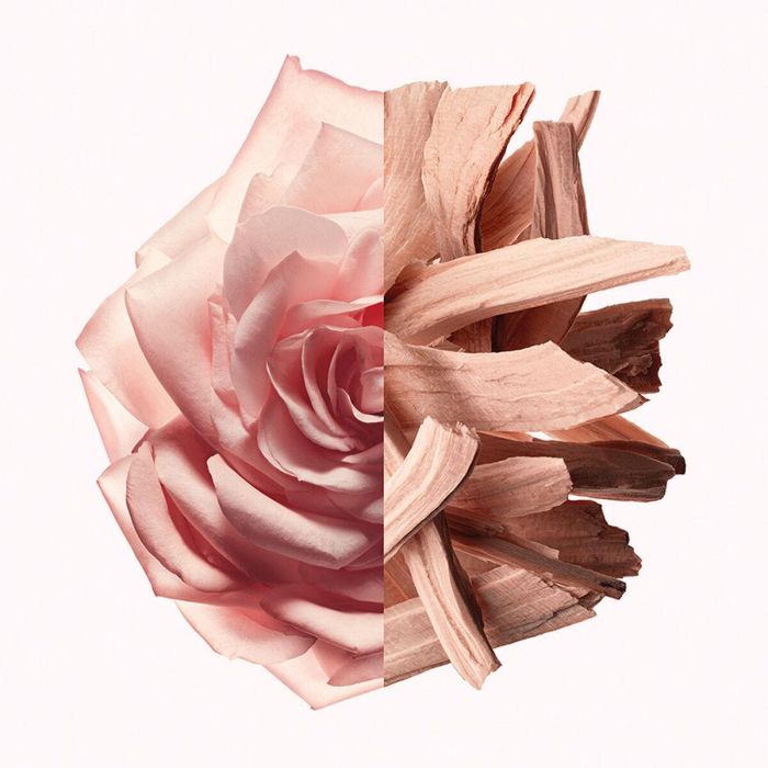 Perfume Mujer Givenchy IRRESISTIBLE NUDE VELVET EDP 50 ml 5 Perfume Mujer Givenchy IRRESISTIBLE NUDE VELVET EDP 50 ml 5
