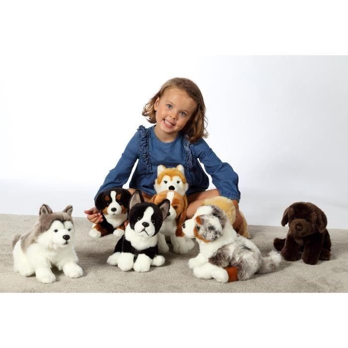 Peluche - Gipsy Toys - Perro sentado - 25cm - Pastor Australiano 1 Peluche - Gipsy Toys - Perro sentado - 25cm - Pastor Australiano 1