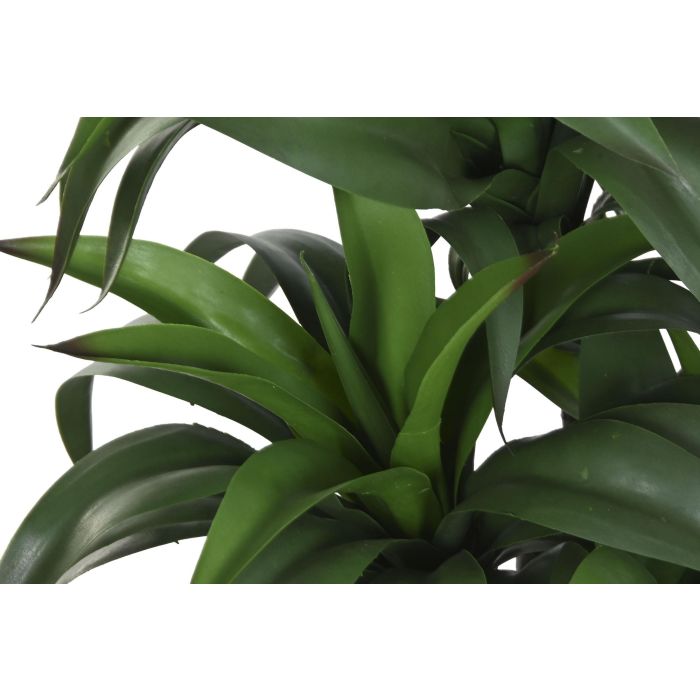 Planta DKD Home Decor Verde Beige 50 x 102 x 50 cm 1 Planta DKD Home Decor Verde Beige 50 x 102 x 50 cm 1