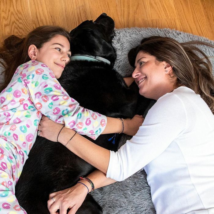 InnovaGood® Cama para perro Cloft, cama perro grande, tejido de poliéster, cama perros medianos antiestrés, Máxima relajación y 5 InnovaGood® Cama para perro Cloft, cama perro grande, tejido de poliéster, cama perros medianos antiestrés, Máxima relajación y 5