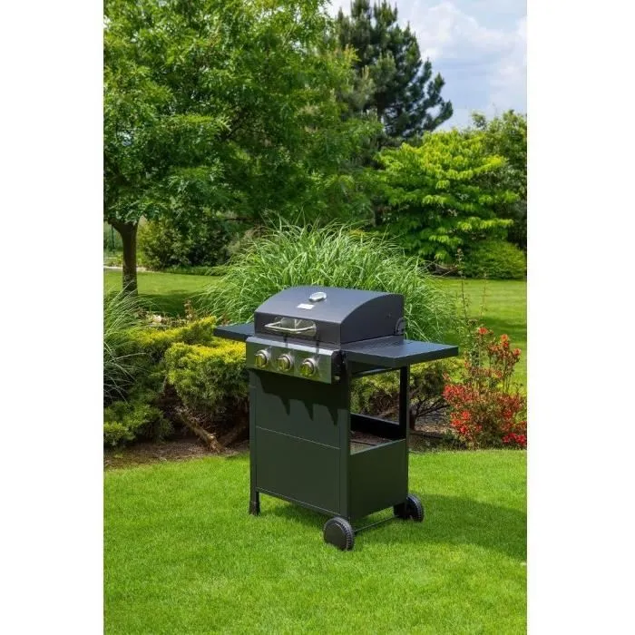 Fieldmann Parrilla FZG 3003 4
