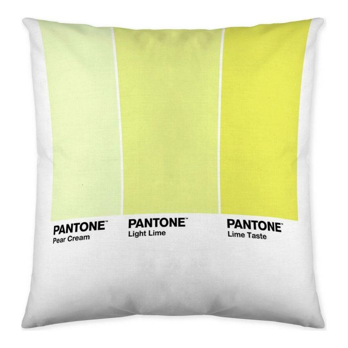 Funda de cojín Ombre C Pantone Localization_B086JQZYZH Reversible 50 x 50 cm