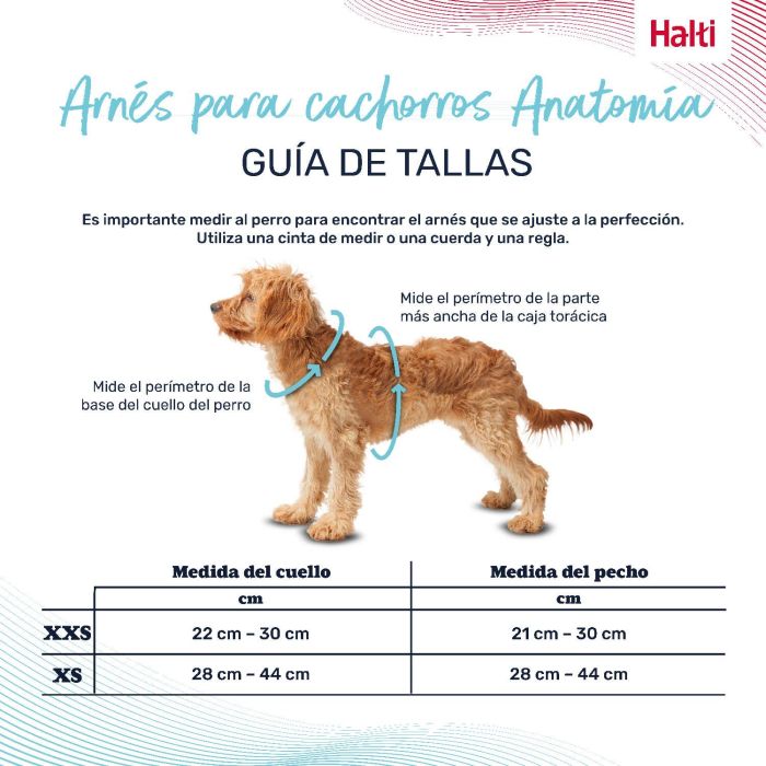 Halti Arnés Anatomy para Cachorro y Perro Pequeño Ajustable Reflector Talla XXS Cuerpo 21-30cm Cuello 22-30cm Gris 1