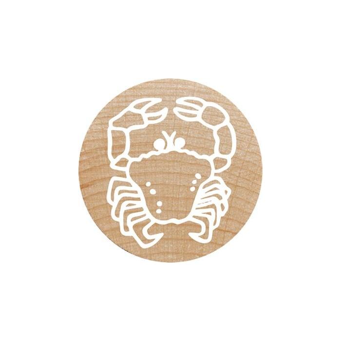 COLOP WOODIES Stempel-Set "exotic Animation" retail 11