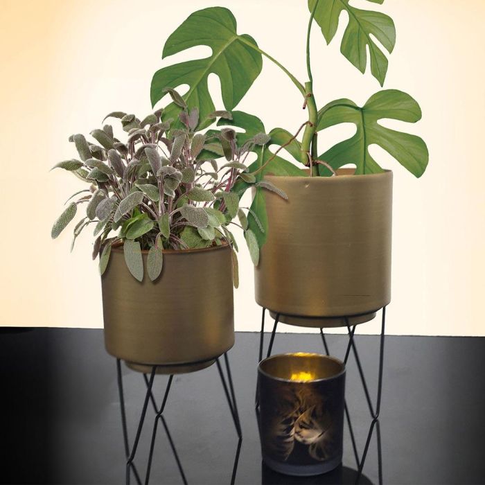 Home Deco Factory Juego de 2 Macetas con Pie Metal Colección Lounge 2