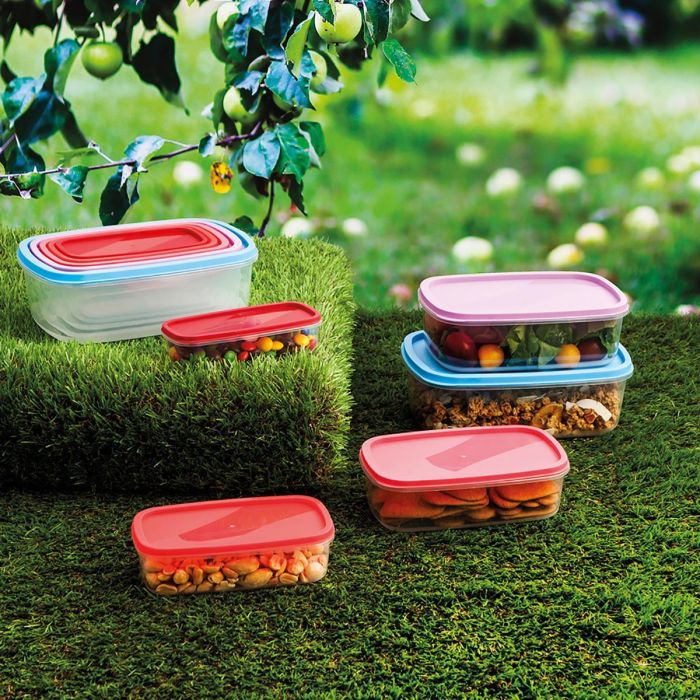 Quid Set de 5 Recipientes Rectangulares Plástico Habitat Multicolor con Tapa Cierre a Presión, Libre de BPA, Apto Microondas, Congelador y Lavavajillas 1 Quid Set de 5 Recipientes Rectangulares Plástico Habitat Multicolor con Tapa Cierre a Presión, Libre de BPA, Apto Microondas, Congelador y Lavavajillas 1