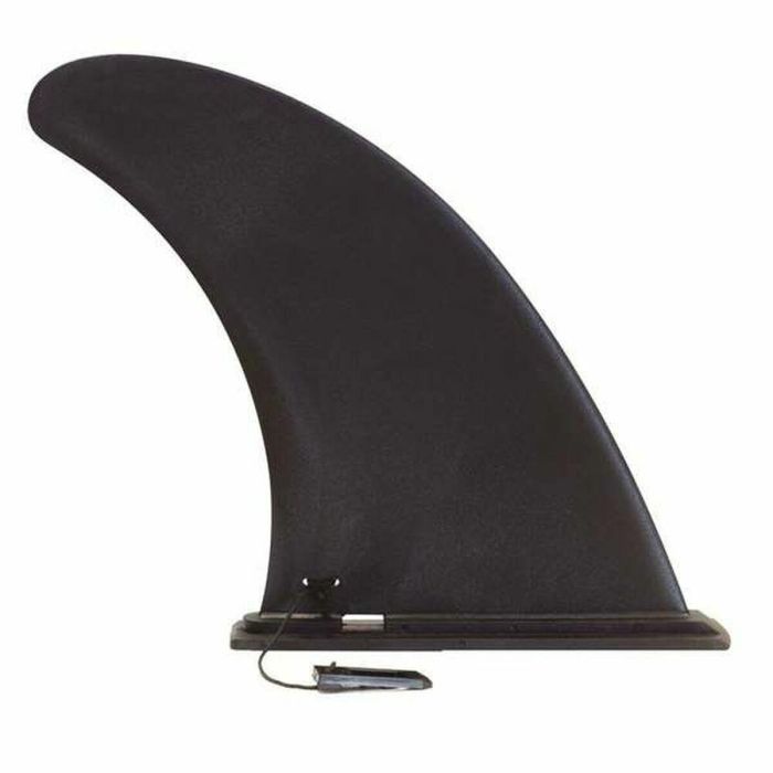 Aleta big fin