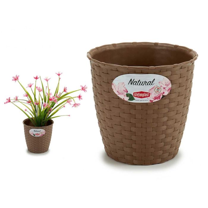 Maceta Natural Inter Exter 14 Diam Marron Stefanplast 14X13CM (12 Unidades) Maceta Natural Inter Exter 14 Diam Marron Stefanplast 14X13CM (12 Unidades)