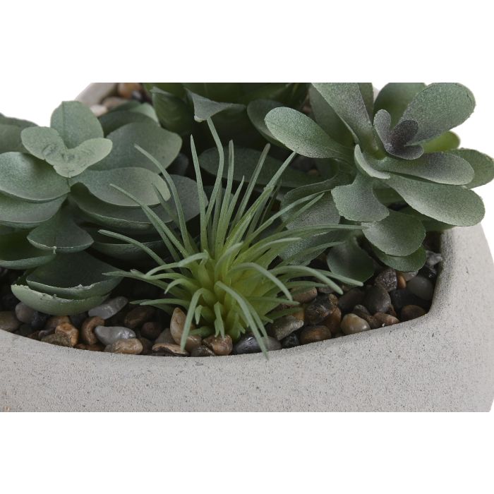 Planta Shabby DKD Home Decor Gris Verde 15 x 14 x 15 cm (12 Unidades) 3