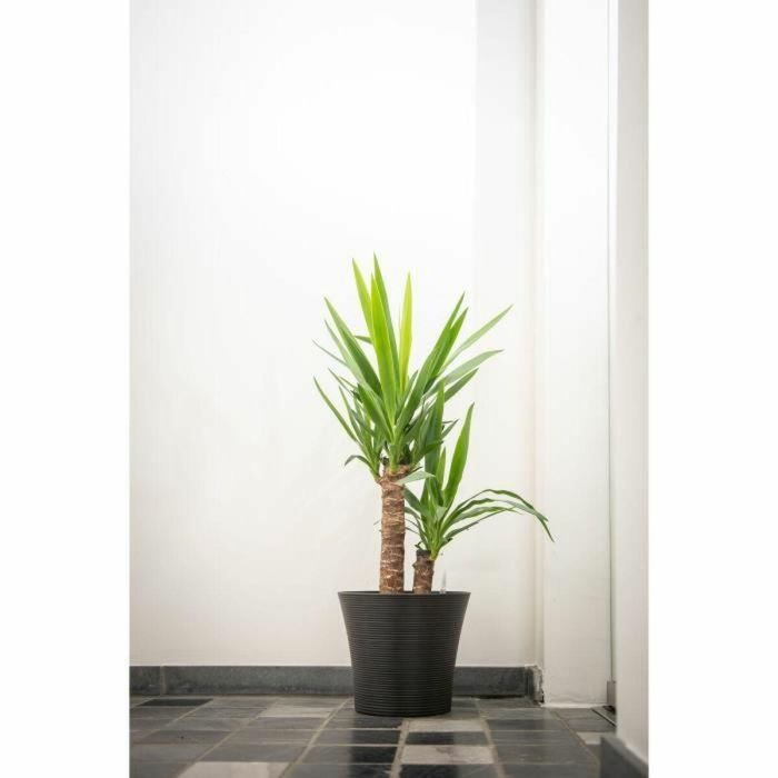 Maceta - GARDEN ID - Green Care Sense Negro-Antracita - 40 x 34 cm - 10 años de garantía - 100% reciclado - Resistencia a los rayos UV y a las heladas 2