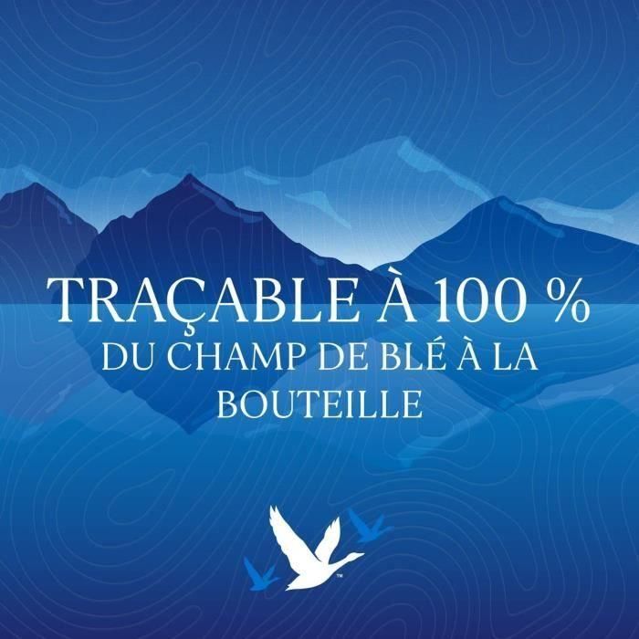 Vodka Grey Goose Original 70 cl - 40 ° 3 Vodka Grey Goose Original 70 cl - 40 ° 3