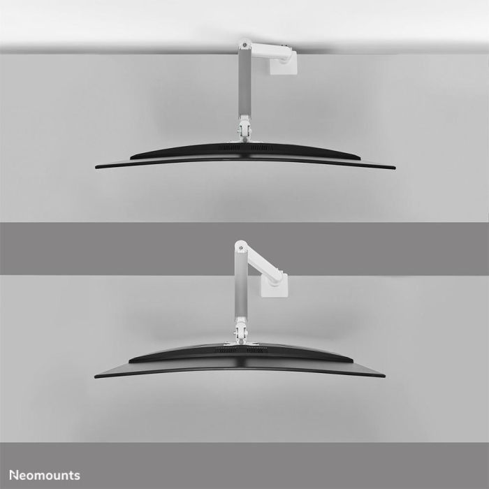 Soporte de Mesa para Pantalla Neomounts DS70PLUS-450WH1 17" 49" 13