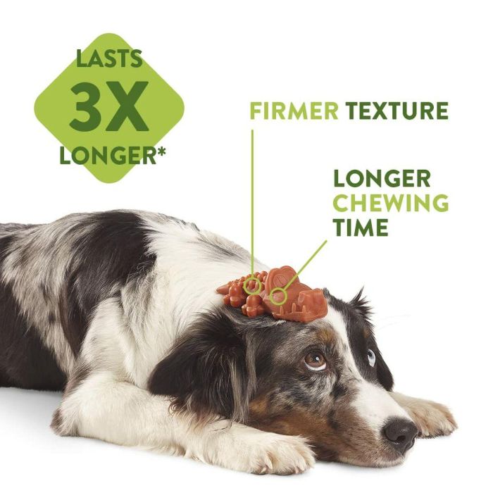Whimzees Alligator S - Snack Dental para Perros, 24 Unidades 4 Whimzees Alligator S - Snack Dental para Perros, 24 Unidades 4