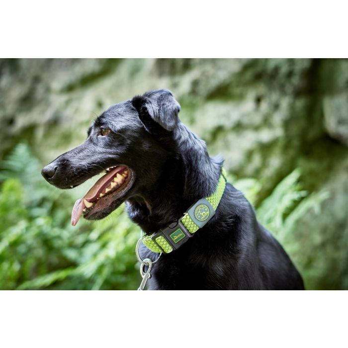 Hunter Collar Hilo Vario Plus XL para Perro - Cuello 45-70 cm, Ancho 38mm, Lima, Malla 3D Transpirable, Refrescante y Reflectante 1