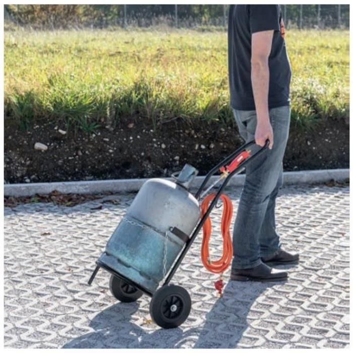 Rothenberger Carro Portabotellas para Bombonas de Gas Butano y Propano | Transporte Fácil y Seguro con Ruedas Macizas, Soportes y Cadena Rothenberger Carro Portabotellas para Bombonas de Gas Butano y Propano | Transporte Fácil y Seguro con Ruedas Macizas, Soportes y Cadena
