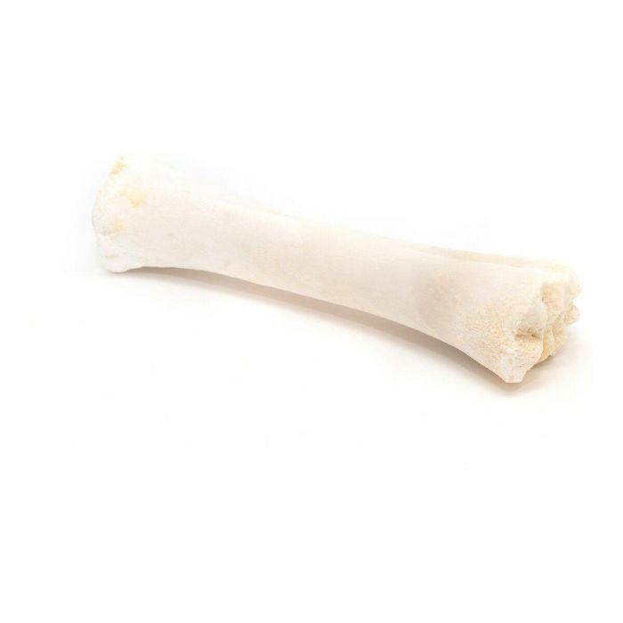 Snack para Perros Gloria Hueso Calcio 20 Unidades 1 Snack para Perros Gloria Hueso Calcio 20 Unidades 1