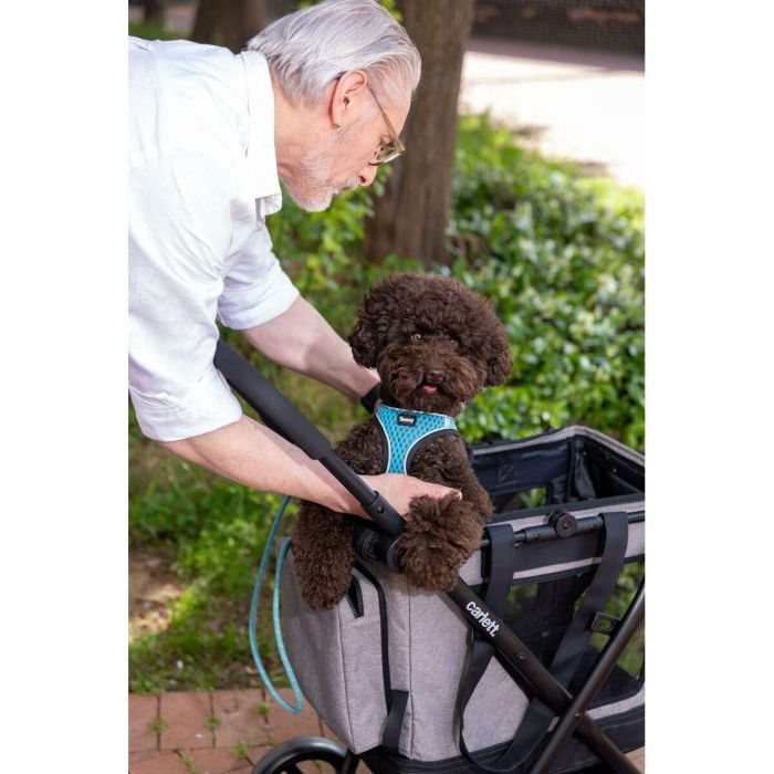 Carro de Compra Carlett CUBE P PINE Verde 4