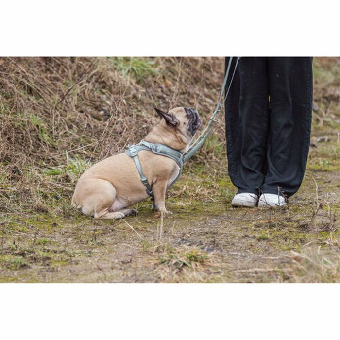 Arnés para Perro Trixie Premium FlexMesh S-M 1 Arnés para Perro Trixie Premium FlexMesh S-M 1