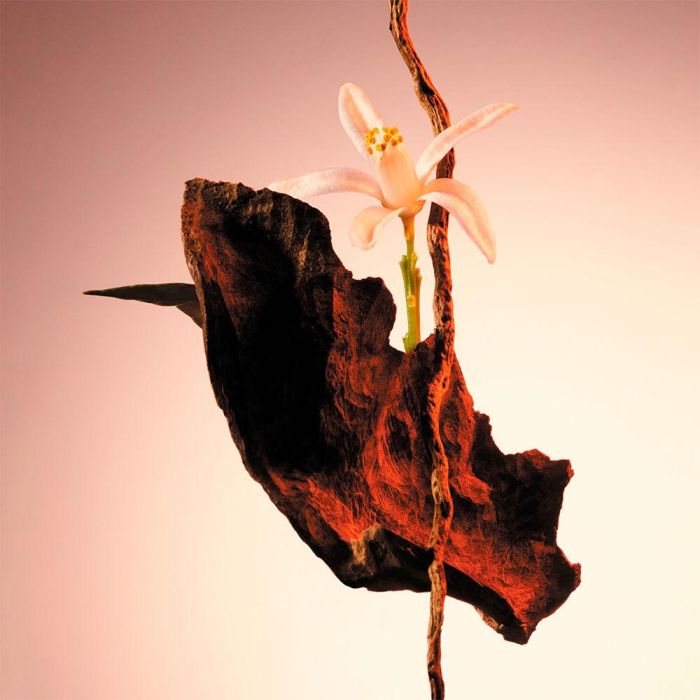 Hugo Boss The Scent Le Parfum Eau de Parfum para Mujer 30ml 2