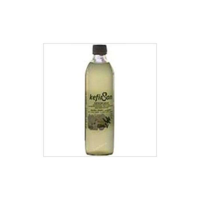 BIONSAN Kéfir de Agua Bio Sabor Menta Limón Jengibre 500ml, Bebida Probiótica Isotónica Refrescante
