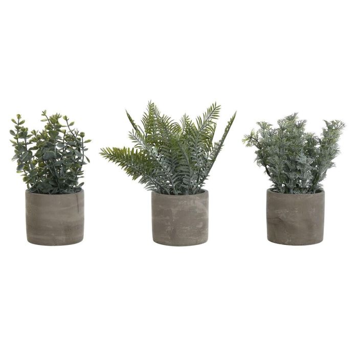 Planta DKD Home Decor Gris Verde 13 x 24 x 13 cm (3 Unidades)